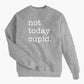 Not Today Cupid Valentine's Sweatshirt