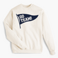 Go Team Pennant Banner Adult Sweatshirt